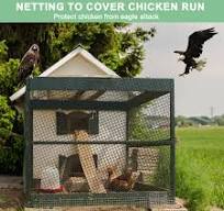 Amazon.com: BSTPCOO Red para pájaros de 25 x 25 pies para ...