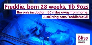 Frederick Warbrook McGill