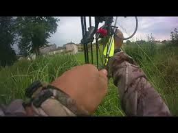 Videotuto Regulation Du Ragondin A L Arc 1 Ragondin Regulation Https Tutotube Fr Chasse Peche Regulation Du Ragondin A L A Ragondin Chasse Peche Peche