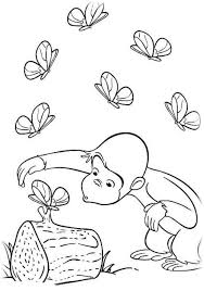 Ausmalbilder Affe Kostenlos Monkey Butterfly Coloring Malvorlagen Ausmalbilder Ausmalbilder Ausmalbilder Tiere Malvorlagen Zum Ausdrucken