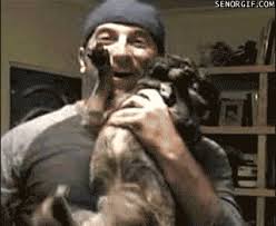 Share the best gifs now >>>. 37 Gifs Of Dogs Making Complete Fools Of People