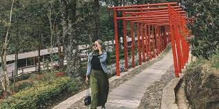 Selfie taman sakura / wisata ala jepang istana sakura blitar jawa timur tiket masuk jejak wisata : Sakura Hills Tawangmangu Ada Spot Instagramable Ala Jepang Halaman All Kompas Com