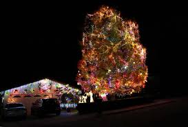 City lights opened in september of 1991 as a small 1000 sq. Christmas Light Displays Hidden San Diego