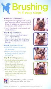 How To Brush Your Dog S Teeth If You Want More Information Or Want To Schedule Your Dental Check Dental Cleaning Dog Care Tips Dog Teeth Cleaning Dog Teeth