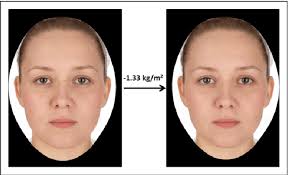 Figure 1 from Heavy Matters