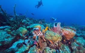 Clarkes Reef