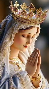 Hail Mary, full of grace, the Lord is with thee. Blessed art thou among  women, and blessed is the fruit of thy womb, Jesus. Holy Mary, Mother of  God, pray for us