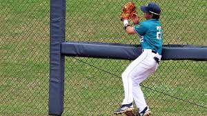 Noah Bridges Baseball Unc Wilmington Athletics