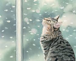 Snow Wonderful 42 Pieces Cat Art Illustration Cat Art Cat Portraits