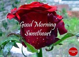 You are the reason i wake up each day with a smile on my face. 100 Good Morning Quotes With Beautiful Images Morning Sweetheart Good Morning For Her Good Morning Love