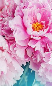 Pin By Erika On Mes Photos Ipad Wallpaper Watercolor Flowers Beautiful Flowers