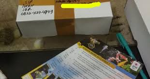 0822 3127 4749 Tsel Produksi Penjernih Kolam Koi Berbusa Keruh Berkabut Bergelembung Claykoi Di 2020 Kolam Ikan Penjernihan Air Kolam
