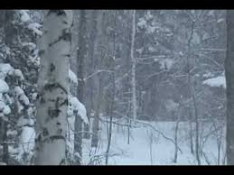 Robert Frost Stopping By Woods On A Snowy Evening Summary Robert Frost Himself Reading The Poem Against A Backdrop Of Snow In Michigan Snow In Michigan Five In A Row Robert Frost