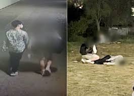 한강공원에서 실종됐다가 숨진 채 발견된 고(故) 손정민씨(22)의 아버지가 실종 당시 정민씨와 함께 있던 친구 a씨 측의 진술과 목격자들의 증언이 일부 일치하지 않는다고 했다. Kabpmbl90qwqsm