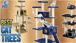 None large cat trees medium size cat trees small cat trees. 10 Best Cat Trees 2018 Youtube