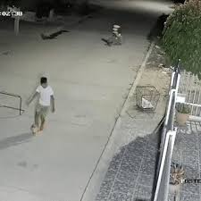 How Dare You Approach Me In 2021 Funny Gif Dares Approach