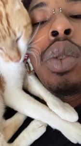 lost my son yesterday he ran out because he thought i was bringing him to  the vet so he was scared he was a glow in the dark necklace and just names  jamaicah he’s all i have and i cant live without ...