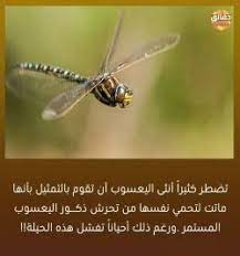 صور مكتوب عليها حقائق مدهشة fish pet pets fish