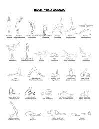 We did not find results for: Basic Yoga Asanas Basic Yoga Poses Basic Yoga Yoga For Beginners