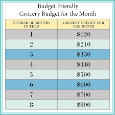 grocery budget 101 everything you need to know