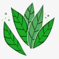 Di bagian ini anda akan menemukan ratusan logo daun gambar transparan ikon vektor dan banyak lainnya. Gambar Pola Daun Tanaman Stereo Menanam Tiga Dimensi Hijau Tua Png Transparan Clipart Dan File Psd Untuk Unduh Gratis Di 2021 Tanaman Hijau Daun Daun
