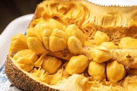 Antioxidants, dietary fibre and vitamin c present in cempedak help in maintaining and nangka's pulp is smoother but cempedak's pulp is harder. Cempedak Isolated On White Stock Image Image Of Nangka 168368137