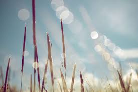 Maybe you would like to learn more about one of these? How To Use Lens Flare Properly Amateur Photographer