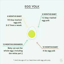 Dr Can You Send The Food Chart For My 6 Months Baby To Gain