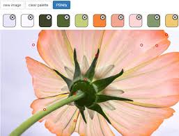 Free downloadable paint by numbers are available here: The Free Trick For How To Turn A Photo Into Paint By Numbers Shrimp Salad Circus