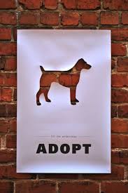 South Seas Pet Adoption Adoption Pets