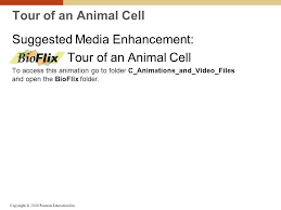 Maybe you would like to learn more about one of these? Cell Structure And Function Ppt Video Online Download