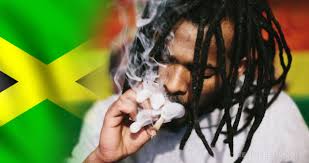 Jamaica is home to a magnificent landscape of rolling mountains lined by endless white‐sand beaches, covered by lush foliage and crisscrossed by streaming rivers and cascading waterfalls. Cannabis In Jamaika Gesetze Rastas Und Weitere Infos Sensi Seeds