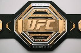 PROMOVOL EVENTOS e LIGA METROPOLITANA DE FUTSAL DE MARINGÁ: MMA - UFC 249 -  CONFIRMADO
