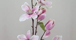 Artificial flower supplies are the experts in all things floral. Luxury Artificial Magnolias On Branch Cream Pink Artificial Flowers