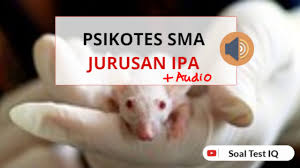 Soal tes jurusan ipa sma 2019. Psikotes Sma Jurusan Ipa Dengan Pembahasan Audio Youtube