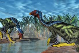 Image result for Crossopteryx