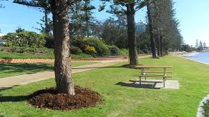 Turn that cucumber into a nearly inst. Captain Cook Park Moreton Bay Regional Council
