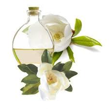 Esencia De Magnolia Esencias Aromaticas Hacer Aceites Esenciales Como Hacer Esencias
