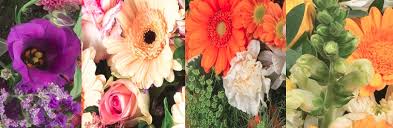We did not find results for: The 16 Best Options For Flower Delivery In Glasgow 2021
