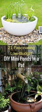 21 Fascinating Low Budget Diy Mini Ponds In A Pot Mini Pond Diy Water Feature Water Features In The Garden