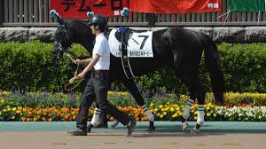 ダノンキングリー (danon kingly) は、日本の競走馬。主な勝ち鞍は2019年の毎日王冠（gii）、共同通信杯（giii）、2020年の中山記念（gii）。 馬名の意味は冠名＋王にふさわしい、王位に君臨することを願って。 ãƒ€ãƒŽãƒ³ã‚­ãƒ³ã‚°ãƒªãƒ¼ Wikipedia