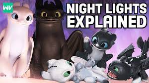 Who Are Toothless & The Light Fury's Children? (Night Lights) | How To  Train Your Dragon - YouTube