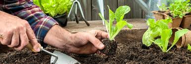 Egal ob gießkanne, gartenschlauch oder smartes bewässerungssystem, unser ratgeber zum thema garten bewässern sorgt dafür, dass auch der heißeste sommer deinen pflanzen nichts anhaben kann. Garten Und Freizeit Alles Fur Draussen Bei Bauspezi Baumarkt Brackenheim Kaufen