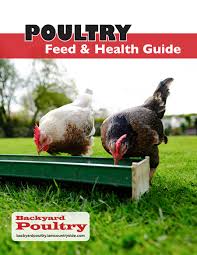 Salmonella germs can spread between birds, to pets, and to people. Poultry Feed And Health Guide Backyard Poultry