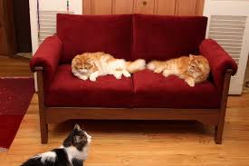 Pet Resistant Cat Or Dog Friendly Furniture Sofas And Chairs Dog Friendly Furniture Dog Friends Pet Proof