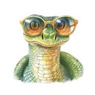 Watercolor Funny Snake Wearing Sunglasses Ai Generated, Snake, Watercolor, Animal PNG Transparent Image and Clipart for Free Download