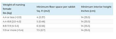 Rabbit Cage Size And Dimensions Requirement Guide Pets Mentor