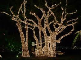 We did not find results for: 12 Awesome Outdoor Christmas Decorations