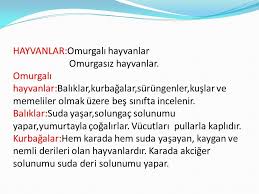 Canlilar 1 Bitkiler Cicekli Bitkiler Ciceksiz Bitkiler 2 Hayvanlar Omurgali Hayvanlar Omurgasiz Hayvanlar 3 Mantarlar Sapkali Mantarlar Maya Mantarlari Kultur Ppt Indir