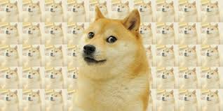 How do you pronounce it? The Doge Meme Is Back And This Time It S Liquified